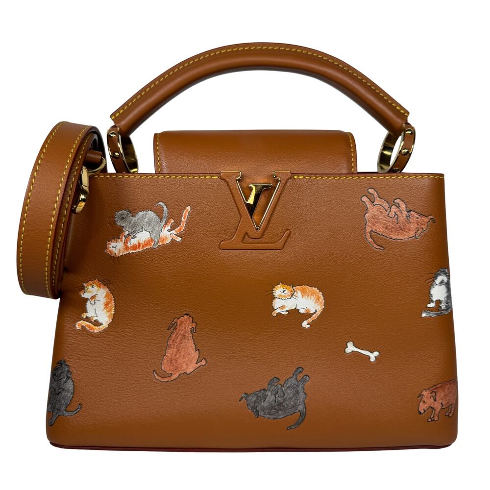 Louis Vuitton Catogram Capucines BB Bag LV Cat Rare Limited Edition Leather